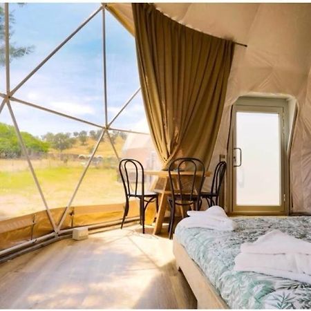 图尔达Caravans Park & Glamping Tents In The Vineyard别墅 外观 照片