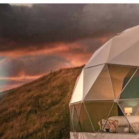 图尔达Caravans Park & Glamping Tents In The Vineyard别墅 外观 照片