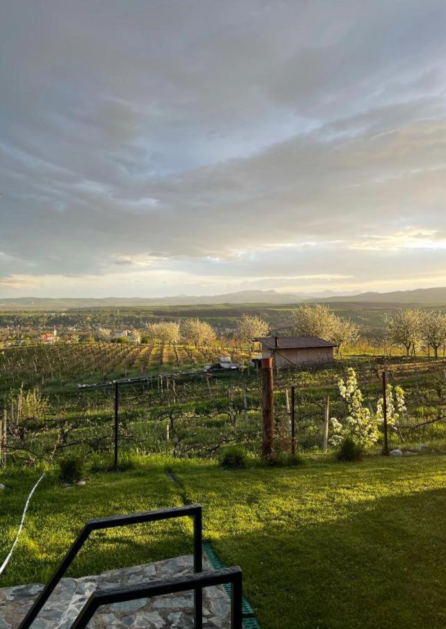 图尔达Caravans Park & Glamping Tents In The Vineyard别墅 外观 照片