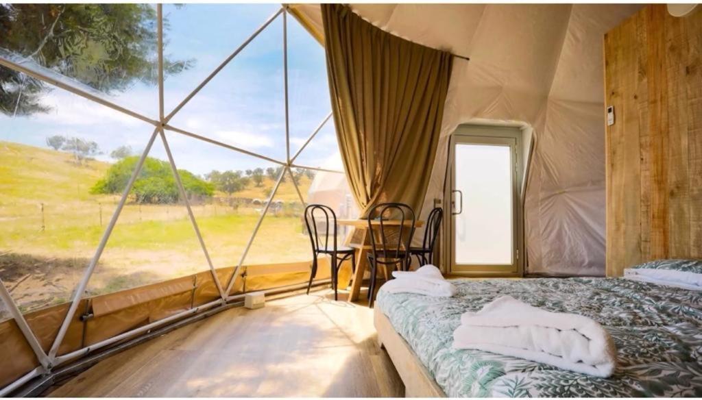 图尔达Caravans Park & Glamping Tents In The Vineyard别墅 外观 照片